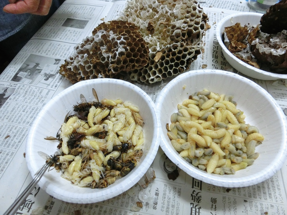 FAOが注目 昆虫食で世界の食糧問題を解決せよ！