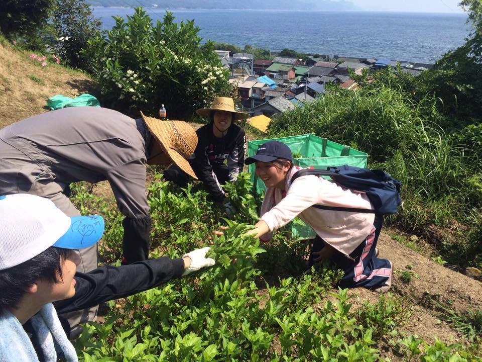 鴻鵠塾 – 就活だけで人生を決めていないか。 社会に出る前から始まっているキャリア形成